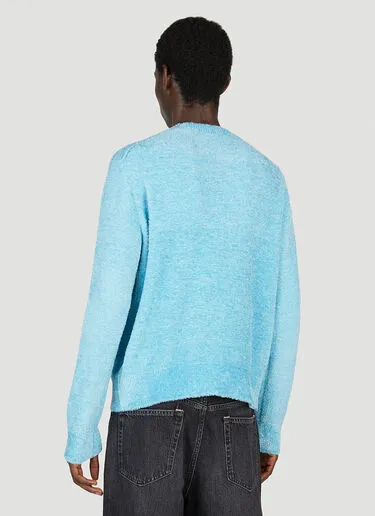 Acne Studios  |Crew Neck Street Style Long Sleeves Logo Designers Sweaters