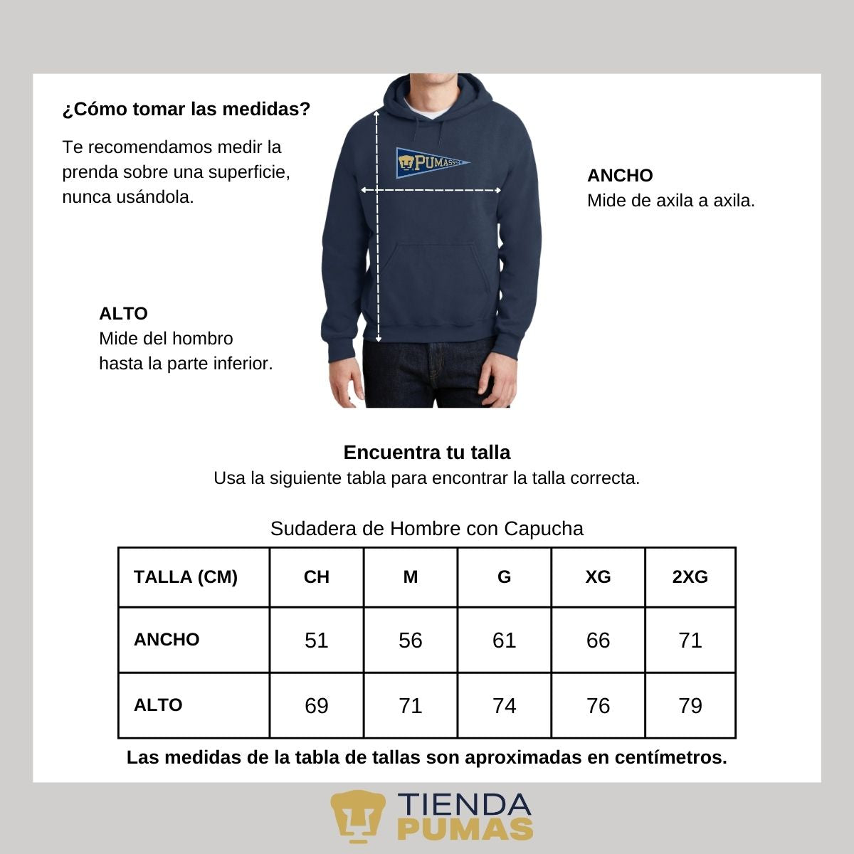 Sudadera Hombre Hoodie Pumas UNAM Banderín